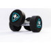 Гантели в уретане 2 кг Live Pro Studio Dumbbells LP8075-02 75_75