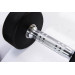 Гантели в уретане 8 кг Live Pro Studio Dumbbells LP8075-08 75_75